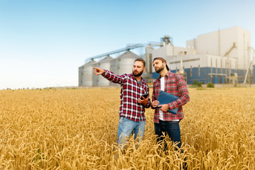 Smart farming using modern technologies in agriculture. Man agronomist farmer with digital tablet computer in wheat field using apps and internet, selective focus