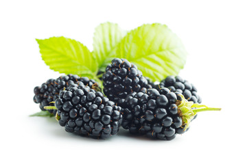 Tasty ripe blackberry.
