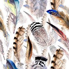 Watercolor bird feather pattern from wing. Aquarelle wild flower for background, texture, wrapper pattern, frame or border.