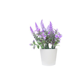 Fototapeta na wymiar Fake flower purple in pot isolated white background