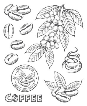collection of coffee branch, beans and cup