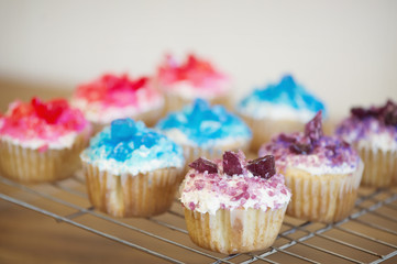 Colorful cupcakes