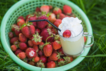 Strawberry
