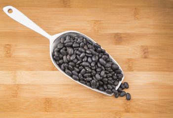 Black bean - Phaseolus vulgaris' Black turtle