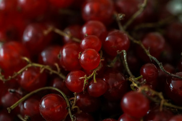 Currant