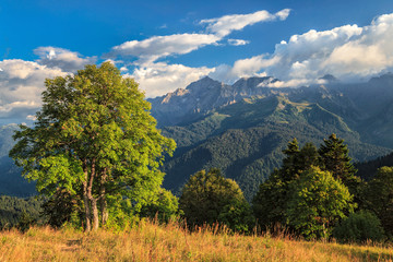 Beautiful scenic summer autumn landscape of Agepsta Peak in Caucasus Mountains in Sochi at sunset....
