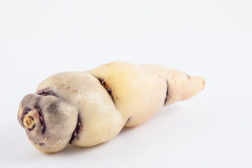 Cubios (Tropaeolum tuberosum) isolated on white background