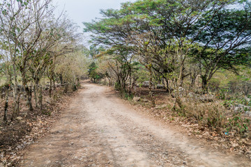 Fototapeta na wymiar Rural road in Protected Area Miraflor, Nicaragua