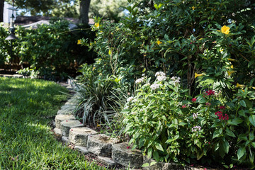 Pentas in a Peaceful Florida Garden