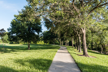 Fototapeta na wymiar Park Walking Path along Tree Line in Morning 1