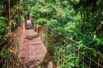 Suspension bridge in the cloud forest of Reserva Biologica Bosque Nuboso Monteverde, Costa Rica