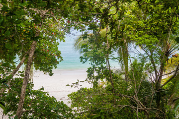 Beach behind trees in National Park Manuel Antonio, Costa Rica