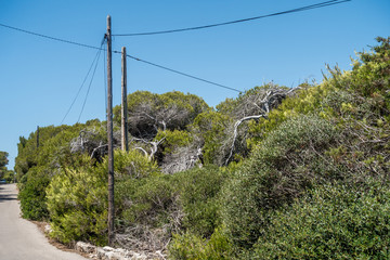 Obraz premium Strommast auf Mallorca