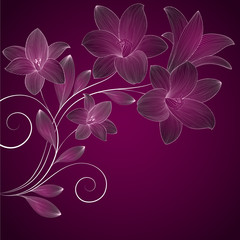 Hand-drawing floral background with flower lily. Element for design. Vector illustration.