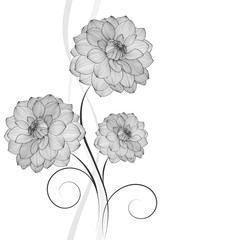 Hand-drawing floral background with flower dahlia. Element for design. Vector illustration.