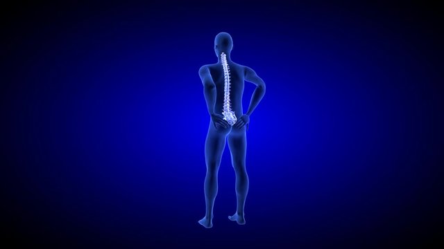 Spine Pain. Blue Human Anatomy Body 3D scan render on blue background