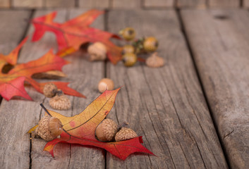 Autumn Leaves and Acorns on a Weathered Wooden Surface