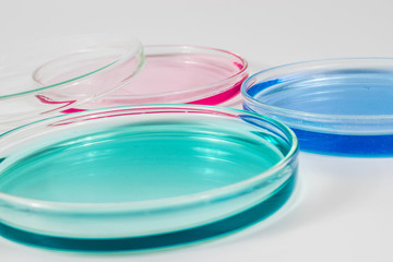 color liquid in petri dishes. laboratory, science and clinic background