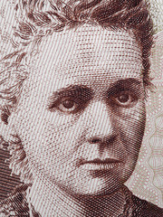 Marie Curie portrait Poland 20 Zlotych banknote close up macro. Famous scientist (chemistry and...