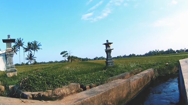 Irrigation System in a rice field