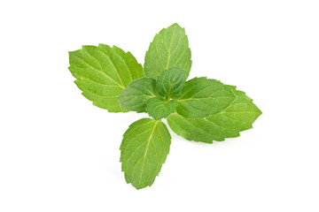 Naklejka na ściany i meble fresh mint leaves isolated on white background