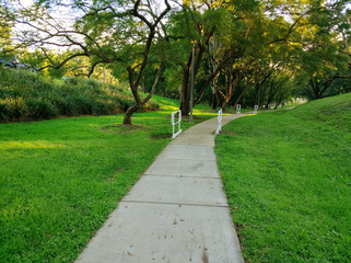 Walkway of Dutton Park Harmony Gardens in Brisbane, Australia