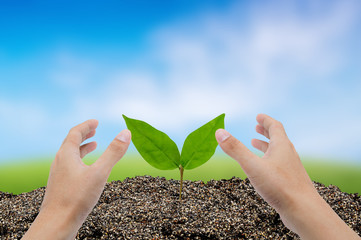Hand of man growing and nurturing tree growing on fertile soil with nature background, care...
