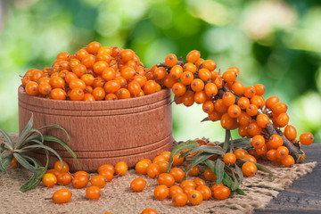 Sea-buckthorn berries in a wooden bowl on table with blurred garden background