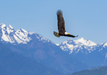 05272017bigbeefcreek16