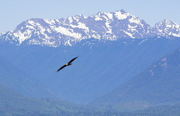 05272017bigbeefcreek4