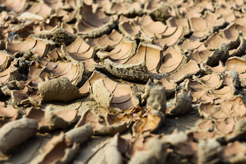 Drought earth with cracks.