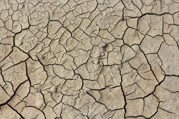 Drought earth with cracks.