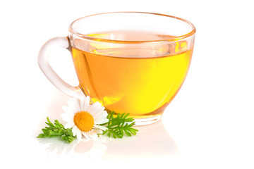 Herbal tea with fresh chamomile flowers isolated on white background