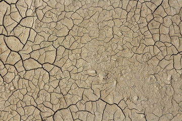 Drought earth with cracks.