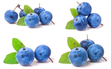 fresh blackthorn berries with leaves isolated on white background. Set or collection
