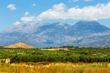 Beautiful mountain landscape with olive plantation, Crete Island, Greece