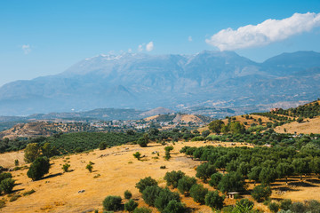Obraz premium Beautiful mountain landscape with olive plantation, Crete Island, Greece