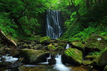夏の亀田不動滝