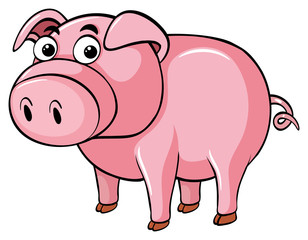 Pink pig on white background