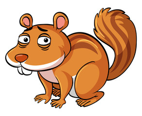 Brown squirrel with tired face