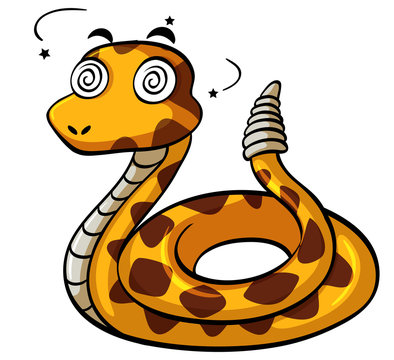 Rattlesnake with dizzy face