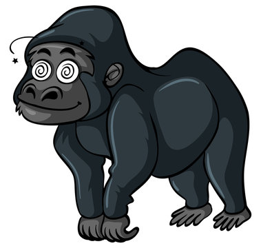 Gorilla with dizzy face