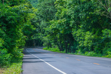 Fototapeta na wymiar Abstract soft focus the road with the nature tree tunnel in Thailand.