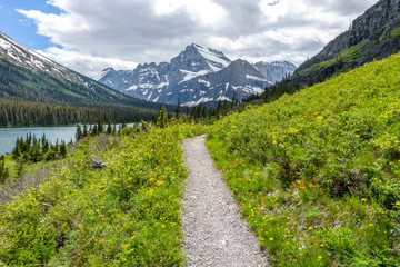 Spring Mountain Trail - A Spring view of a hiking trail winding towards Mount Gould in a flowering valley at shore of Lake Josephine in Many Glacier region of Glacier National Park, Montana, USA.