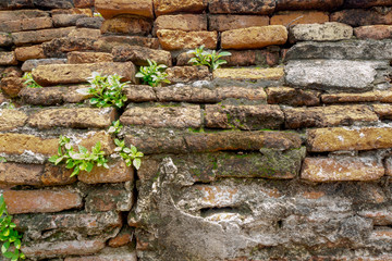 Red brick wall with small trees.