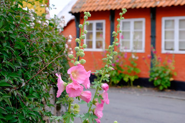 Svaneke in Dänemark