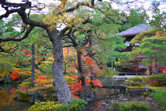 house in garden