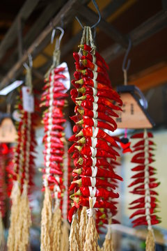 drying chilli