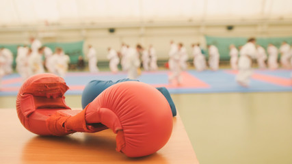 Red karate gloves on tatami during training, de-focused © KONSTANTIN SHISHKIN