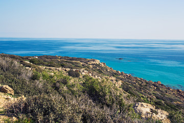 Fototapeta na wymiar Overgrown sandy beach of Mediterranean Sea